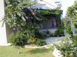 House for sale in Pentakomo - Cyprus