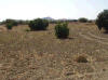 Large plot of 3.5 Skalas for sale in Agglissides near Larnaca.