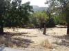 This plot is located in a quiet residential area with magnificent mountain views, in Alethriko village.