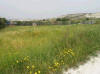 This land in Aradipou, Larnaca is 1,479m� and the building density is 10%.