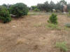 This plot is located in Kitti village, minutes away from all the main amenities of the village. It is only a fifteen minute drive to Larnaca, and five minutes to Larnaca International Airport.