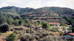sina oros plots